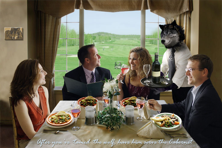 Wolf feeding restaurant patrons.